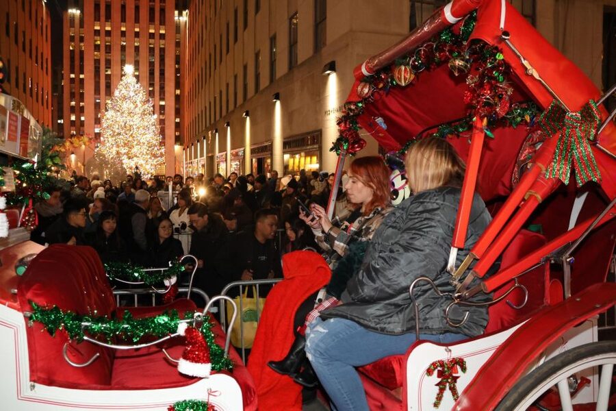 NYC: Magical Christmas Lights Carriage Ride - Who should book this Christmas carriage ride?