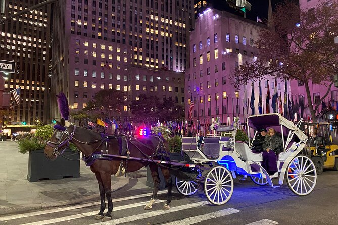 NYC : Magical Christmas Lights Private Horse Carriage Ride - Key points to know before booking