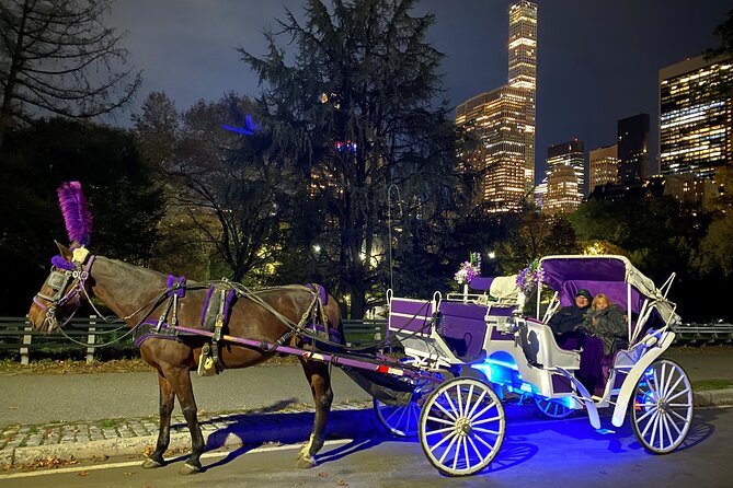NYC : Magical Christmas Lights Private Horse Carriage Ride - A private Christmas ride from Central Park South