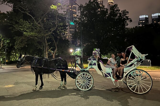 NYC : Magical Christmas Lights Private Horse Carriage Ride - The horses and the human side of the outing