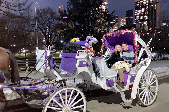 NYC : Magical Christmas Lights Private Horse Carriage Ride - Is $250 a good price for four people?