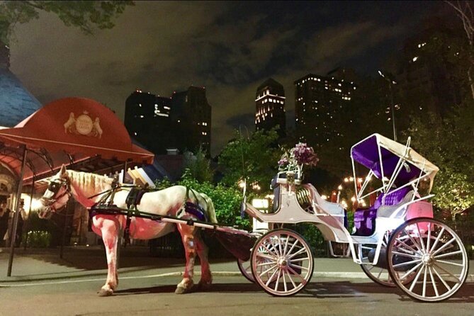 NYC : Magical Christmas Lights Private Horse Carriage Ride - Fifth Avenue, Rockefeller Center, and the holiday windows