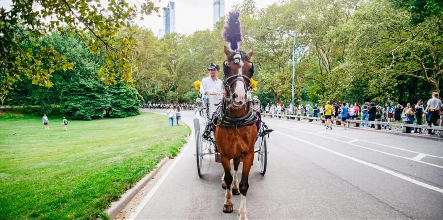 NYC: Private Christmas Lights Horse Carriage Ride - Key details before you book