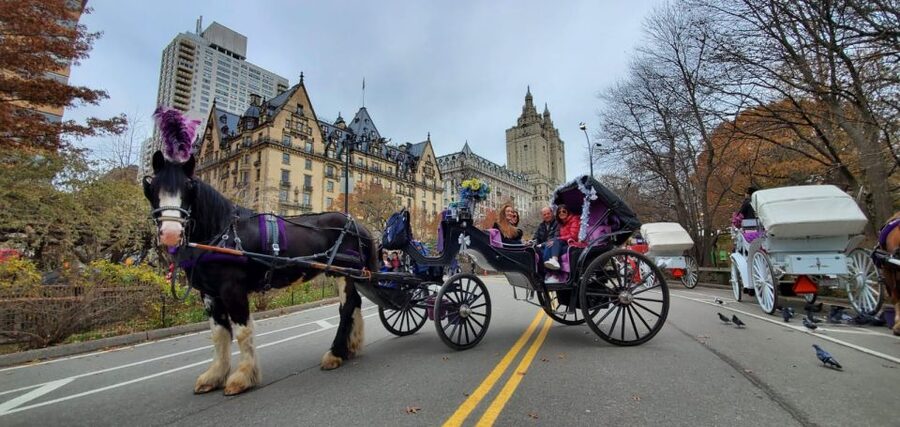 NYC: Private Christmas Lights Horse Carriage Ride - Is $13 good value for four people?