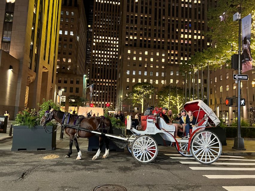 NYC: Private Christmas Lights Horse Carriage Ride - How to get the most from 50 minutes