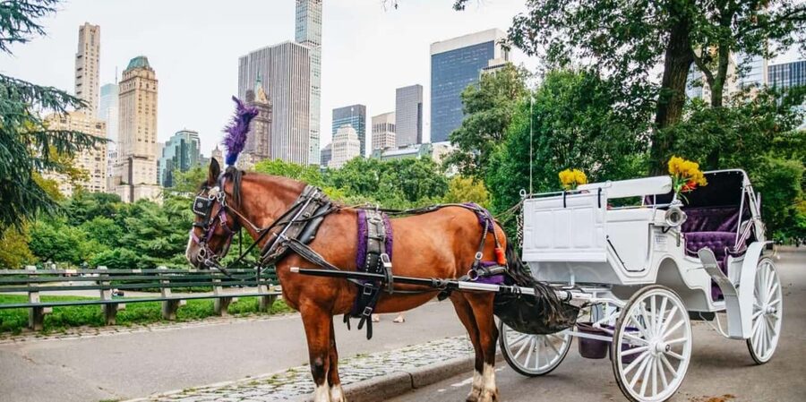 NYC: Private Christmas Lights Horse Carriage Ride - Starting at 59th Street and Seventh Avenue