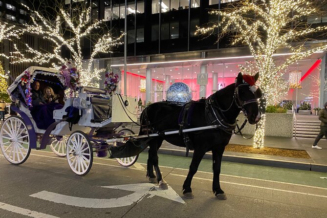 NYC Rockefeller Center Christmas Lights Horse Carriage Ride - Key points before you book