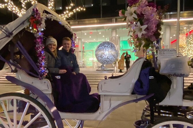 NYC Rockefeller Center Christmas Lights Horse Carriage Ride - Wollman Rink, the carousel, and the park’s southern edge