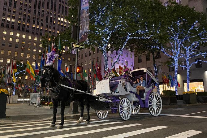 NYC Rockefeller Center Christmas Lights Horse Carriage Ride - Rockefeller Center and the brief tree photograph