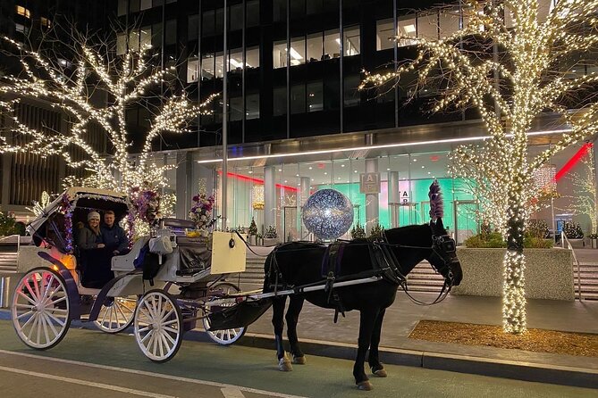 NYC Rockefeller Center Christmas Lights Horse Carriage Ride - Blankets, rain cover, and the horse interaction