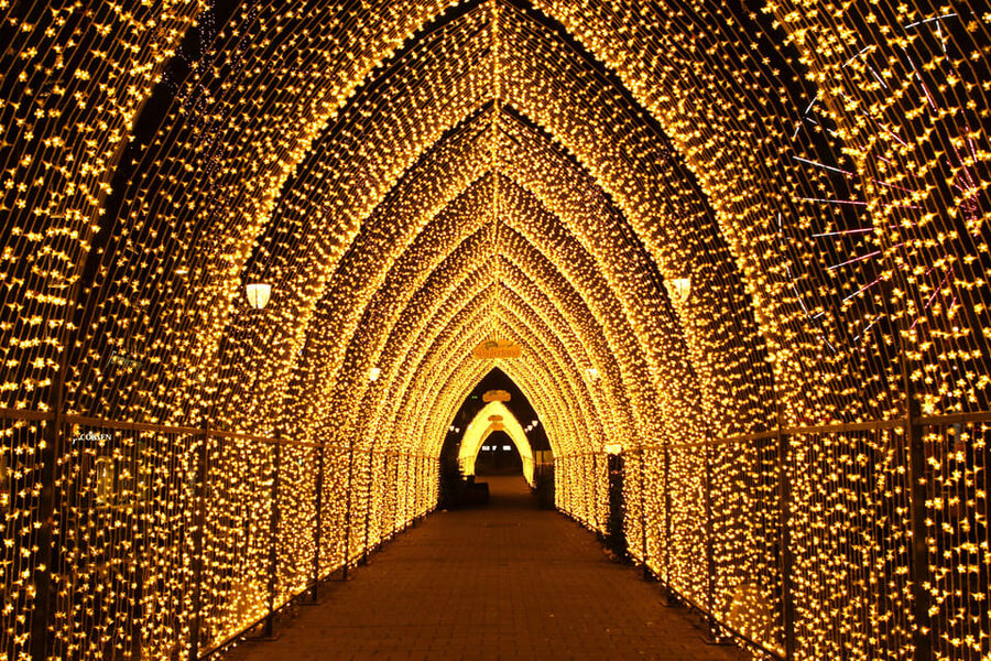 Oslo: 2-hour Christmas Private Walking Tour - Key points to know before booking