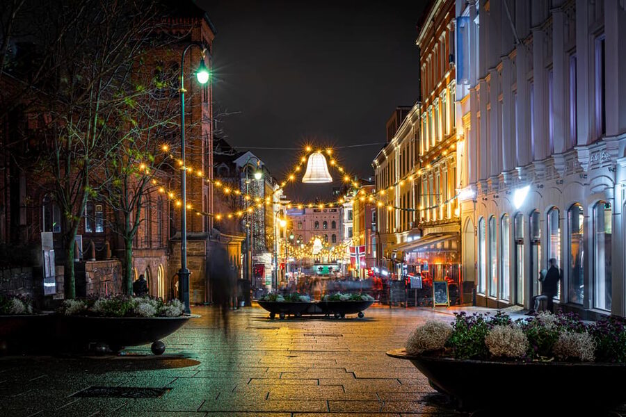 Oslo: 2-hour Christmas Private Walking Tour - The Royal Palace and a possible snowy finale