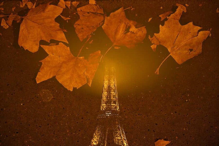 Paris: Experience the magic of Christmas on a walk with a pro photographer - Avenue Montaigne and the golden triangle