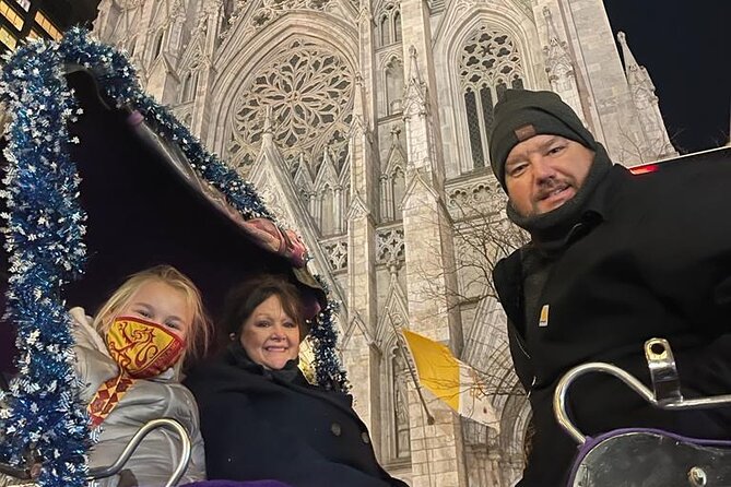 Private Christmas Lights Horse Carriage Tour In New York City - Is $450 a fair price for four people?