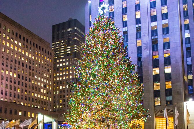 Private New York Christmas Tour with Driver and Guide - Times Square and the Theater District