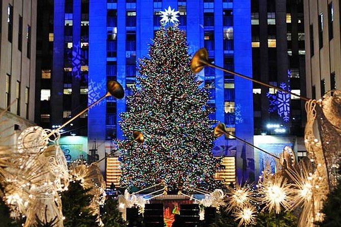 Private New York City Christmas Walking Tour - Bryant Park’s holiday market