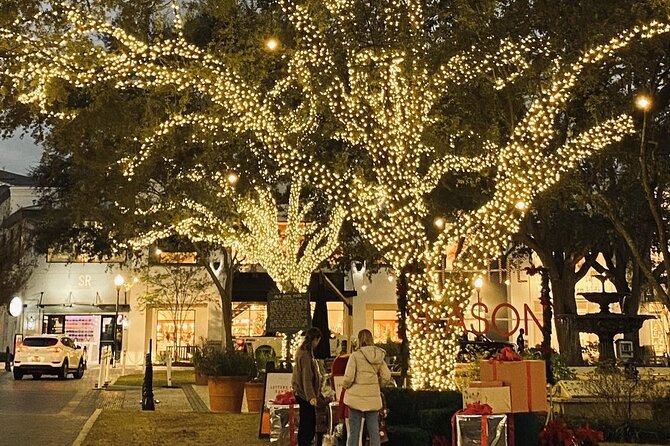 Private Tour to Christmas Winter Village, Bayshore and Hyde Park - Cruising the full sweep of Bayshore Boulevard