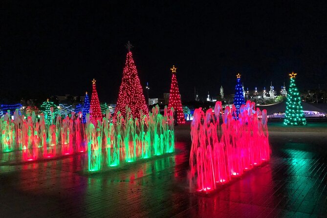 Private Tour to Christmas Winter Village, Bayshore and Hyde Park - Starting at Curtis Hixon Waterfront Park