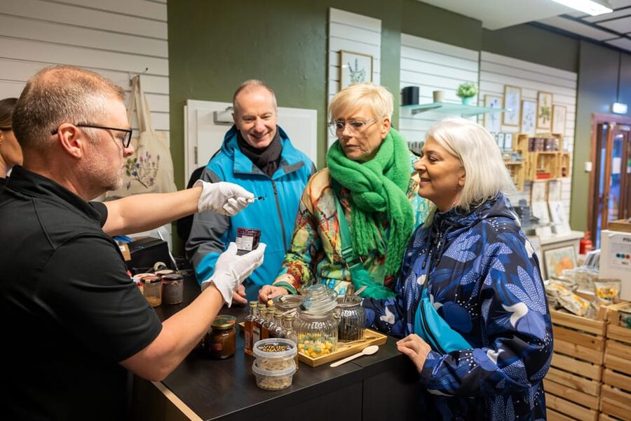 Reykjavik: Christmas Walking Tour with Icelandic Traditions - Austurvöllur and the Oslo Christmas Tree