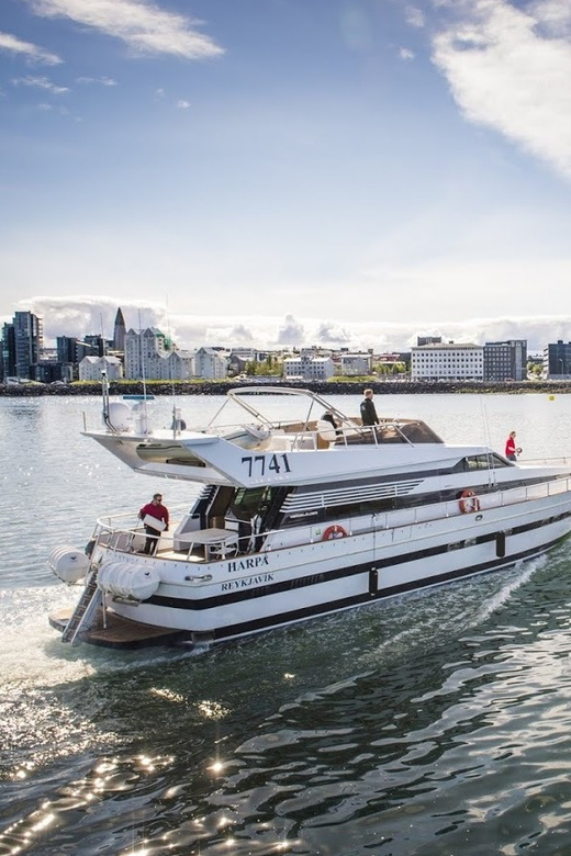 Reykjavík: New Year's Eve Northern Lights Yacht Cruise - Passing Videy Island and Imagine Peace