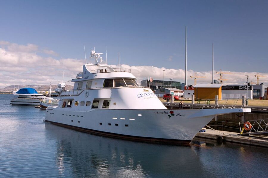 Reykjavik: New Years Fireworks Midnight Cruise - Should you book it?
