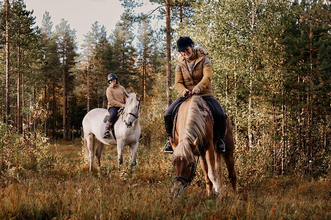 Riding Tour with Finnhorses at Santa Claus Village - Why the small group matters