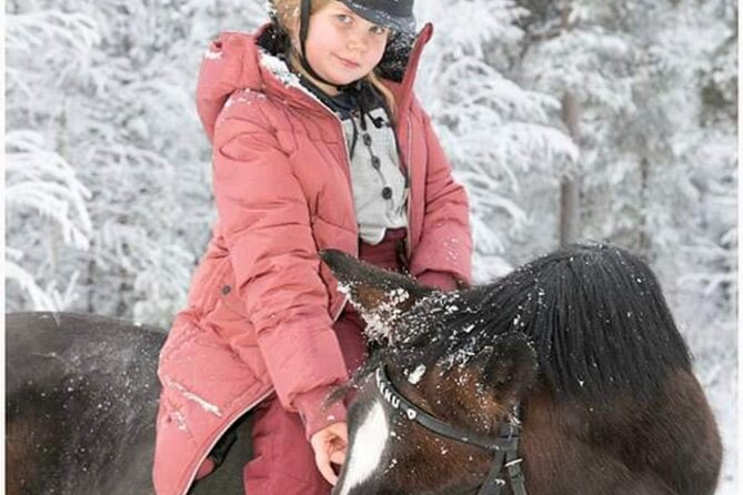 Riding Tour with Finnhorses at Santa Claus Village - The one-hour forest trek