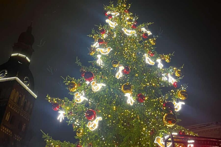 Riga: Old Town Legends & Christmas Spirit Walking Tour - Who will enjoy this Riga Christmas walk