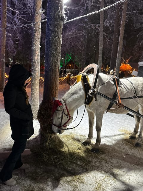 Rovaniemi: Guided Tour of Santa Claus Village - Snowman World in a 15-minute visit