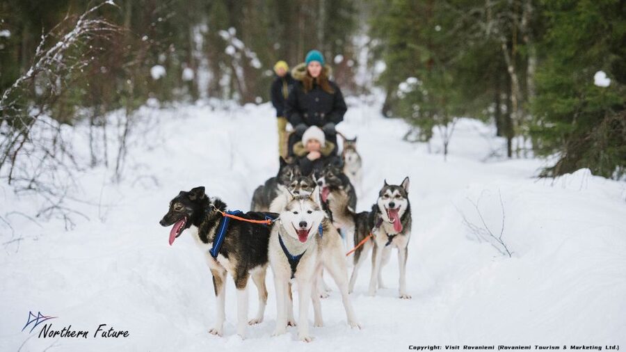 Rovaniemi: Meet Santa Claus, Reindeer Sleigh Ride & Huskies - Meeting Santa and the elves