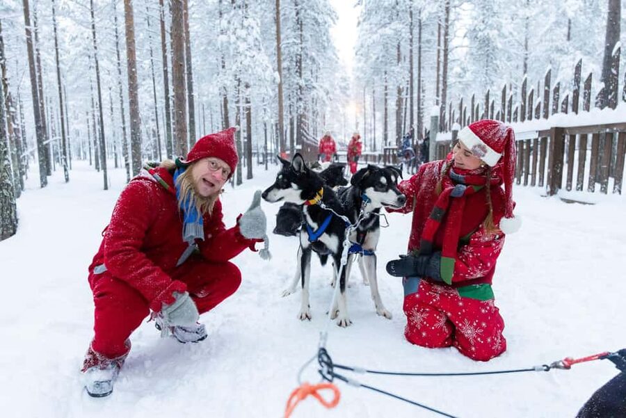 Rovaniemi: Meet Santa's Most Trusted Husky Dogs - Five things to know before you go