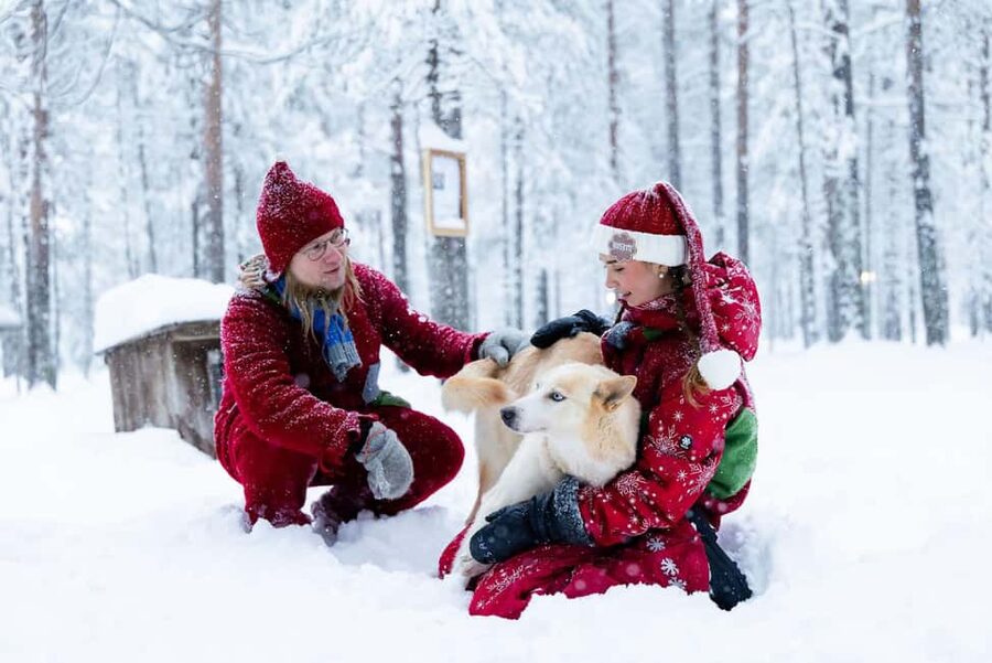 Rovaniemi: Meet Santa's Most Trusted Husky Dogs - From Pukinpolku 9 to the husky farm