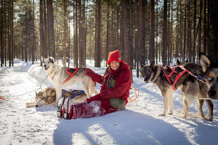 Rovaniemi: Meet Santa's Most Trusted Husky Dogs - The 3 km sleigh ride with a musher