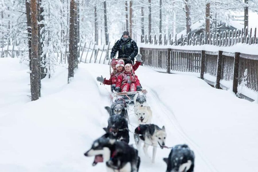 Rovaniemi: Meet Santa's Most Trusted Husky Dogs - Meeting Santa’s working huskies