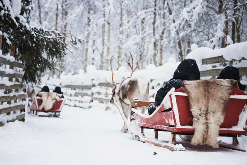 Rovaniemi: Reindeer, Huskies & Santa Claus Village - Alaskan Huskies Bring the Energy