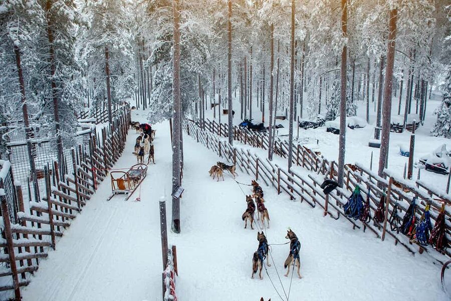 Rovaniemi: Reindeer & Husky Ride with Santa Claus Village - Starting with the reindeer sleigh ride