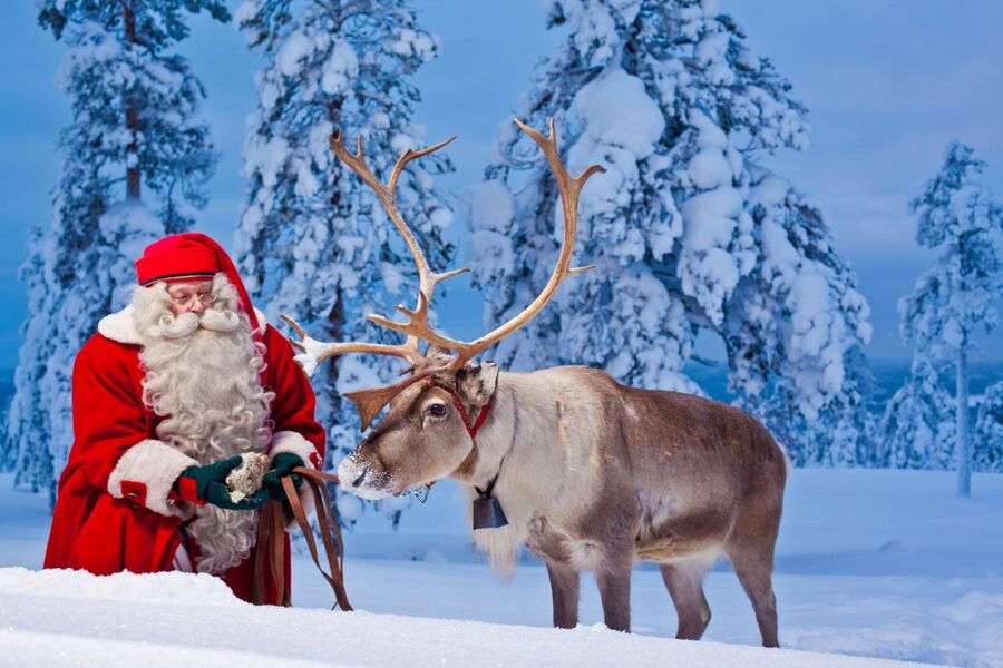 Rovaniemi: Santa Claus Village and Arctic Circle - The guide can make or break the day