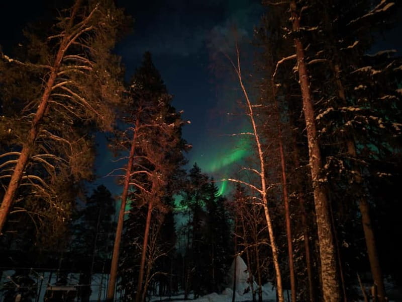 Rovaniemi:Santa Claus Village Guided Tour with Santa's gift - Pickup in Rovaniemi and the short van ride