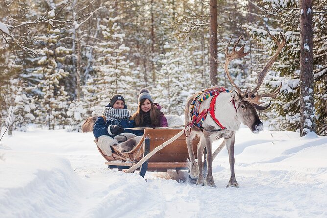 Rovaniemi Santa Claus Village Husky and Reindeer Tour VIP VAN - Is $287.78 a fair price?