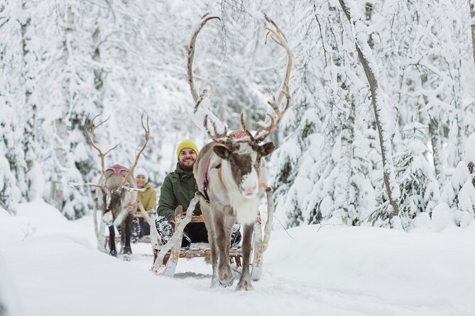 Rovaniemi Santa Claus Village Husky and Reindeer Tour VIP VAN - Who should book this Rovaniemi day?