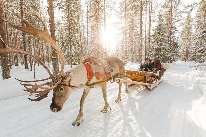 Rovaniemi Santa Claus Village Husky and Reindeer Tour VIP VAN - Husky rides and the appeal of Arctic farm visits