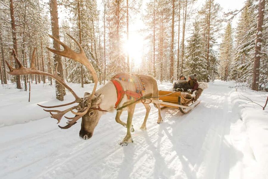 Rovaniemi: Santa Claus Village + Husky & Reindeer Sled Ride - Starting the Day With Hotel Pickup