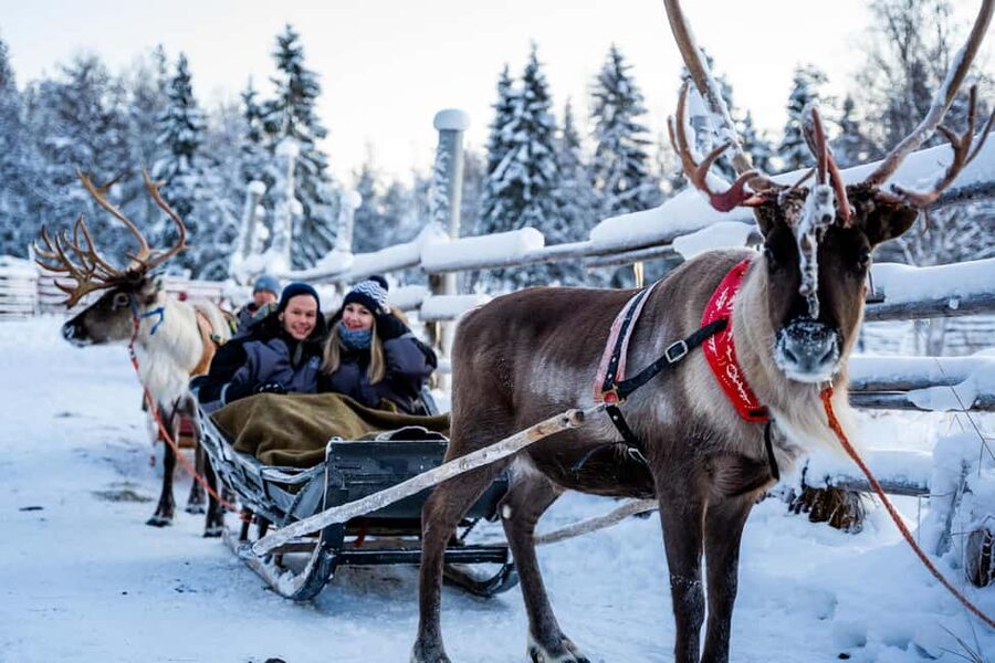 Rovaniemi: Santa Claus Village + Husky & Reindeer Sled Ride - The Best Season for the Sled Rides