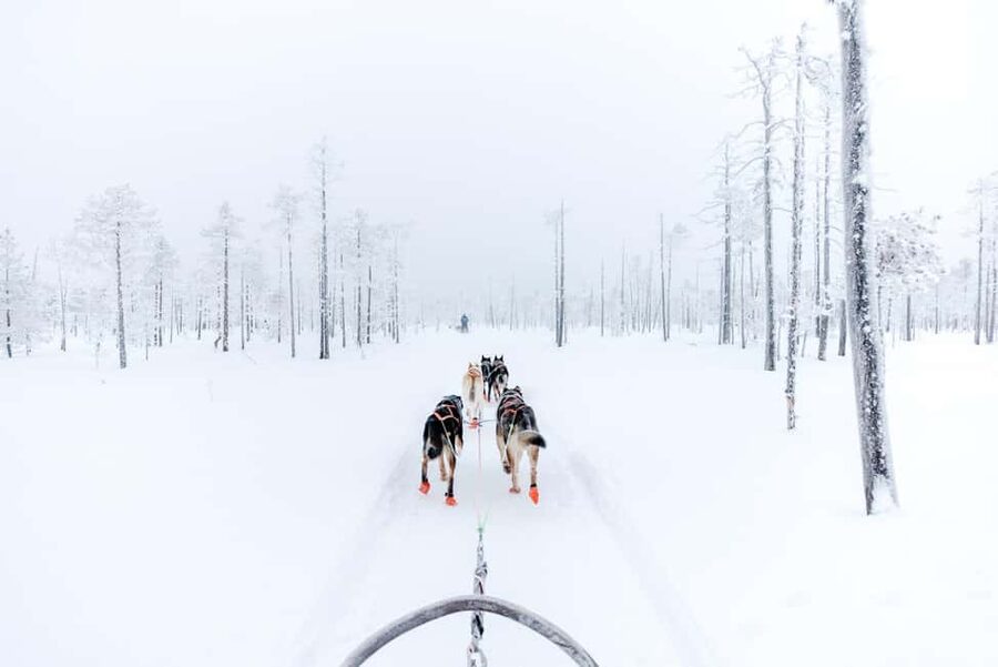 Rovaniemi: Santa Claus Village, Husky & Reindeer Tour - Pickup in Rovaniemi needs careful attention