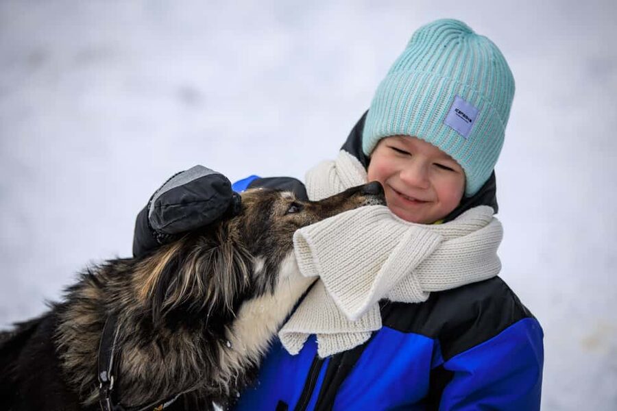 Rovaniemi: Santa Claus Village, Husky & Reindeer Tour - Who will enjoy this tour most?