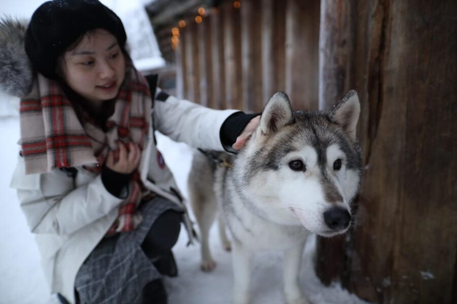 Rovaniemi: Santa Claus Village Tour Huskies & Reindeer ride - Practical Tips Before You Book