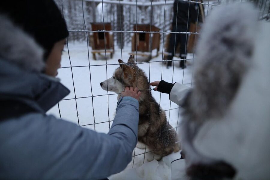 Rovaniemi: Santa Claus Village Tour Huskies & Reindeer Visit - Key points before you book