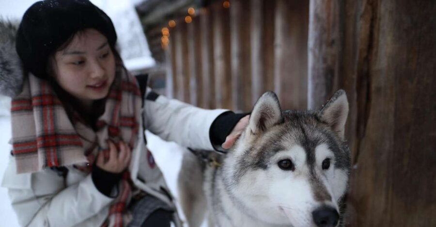 Rovaniemi: Santa Claus Village Tour Huskies & Reindeer Visit - Reindeer show the working side of Lapland
