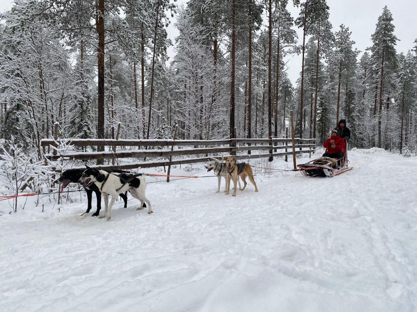 Rovaniemi: Santa Claus Village Tour Huskies & Reindeer Visit - Is $235 fair for four and a half hours?