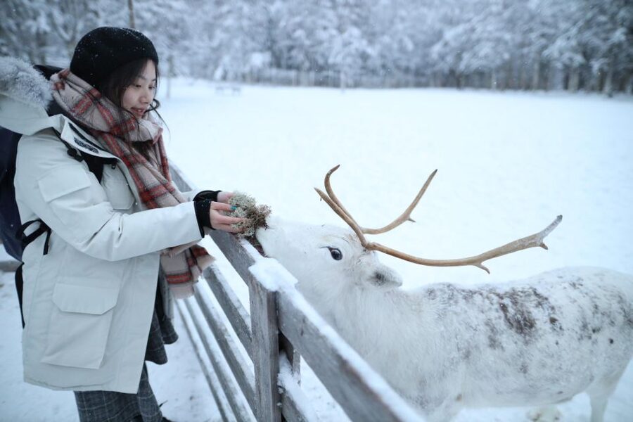 Rovaniemi: Santa Claus Village Tour Huskies & Reindeer Visit - Who will enjoy this Rovaniemi outing?
